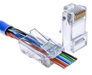 Hạt mạng xuyên thấu Cat6